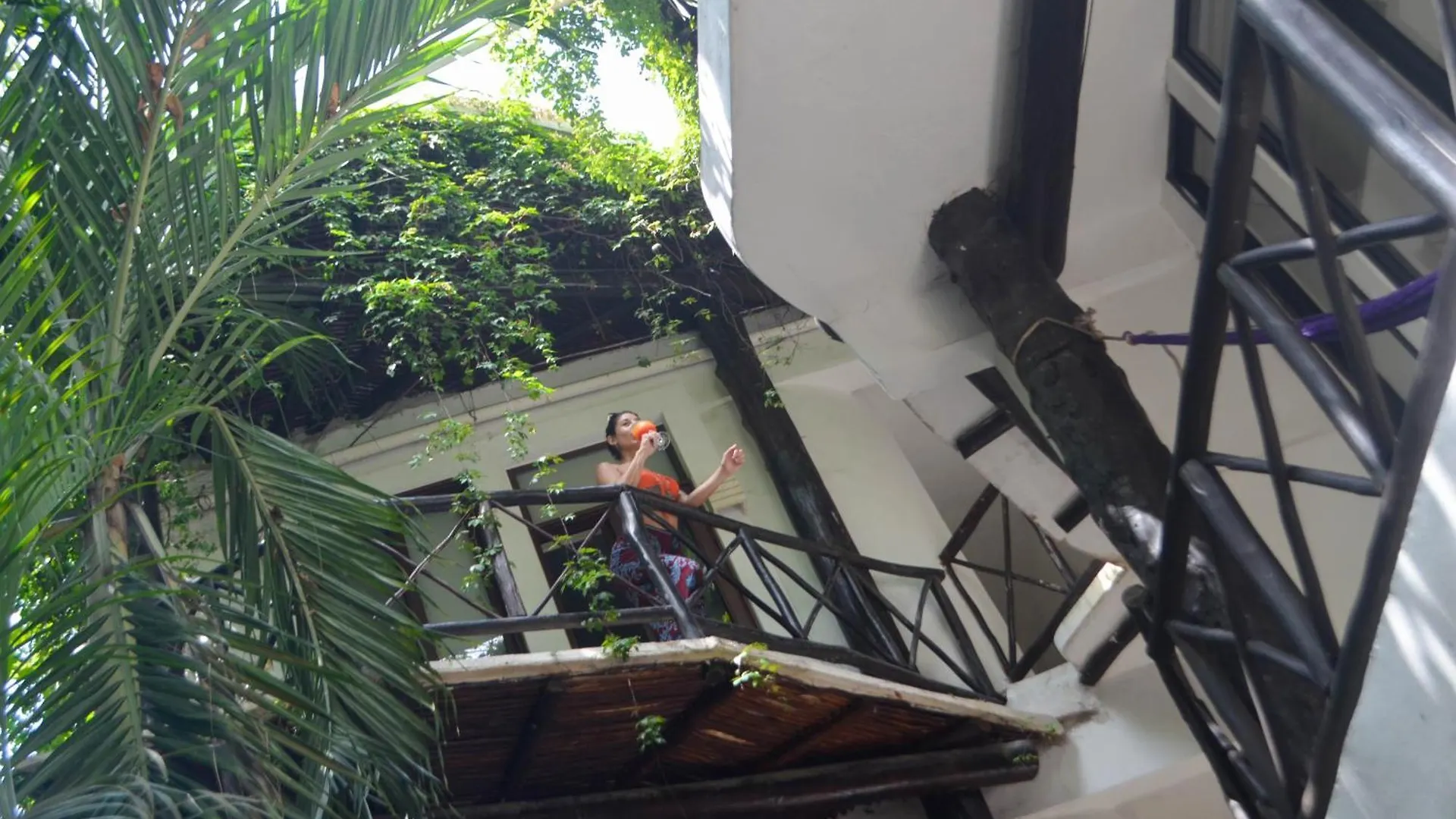 Siesta Fiesta Hotel Adults Only - 5Th Avenue Playa del Carmen