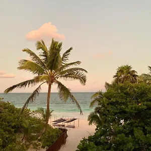 **** Hotel Libelula Beachfront Mexique